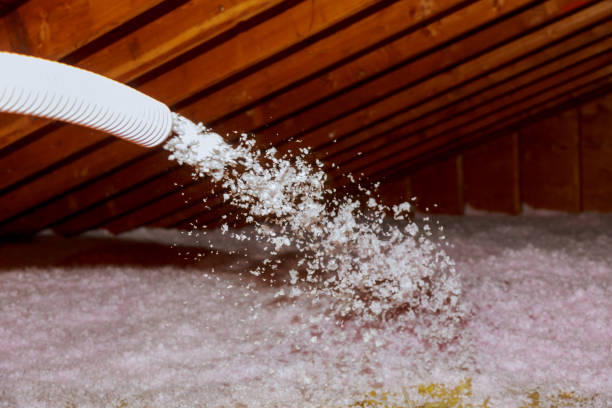 Best Specialized Insulation Services in Holly, MI