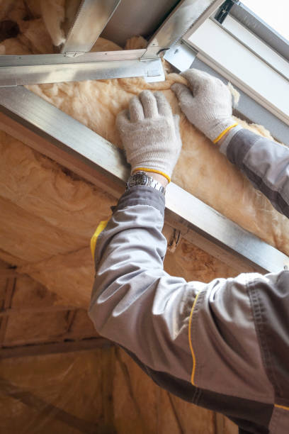Best Spray Foam Insulation in Holly, MI