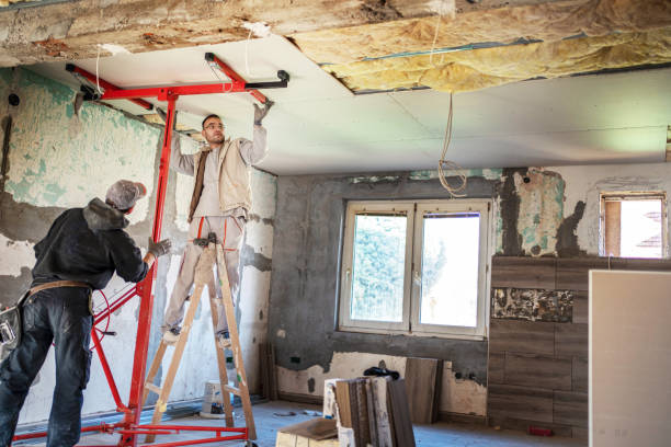 Best Eco-Friendly Insulation in Holly, MI