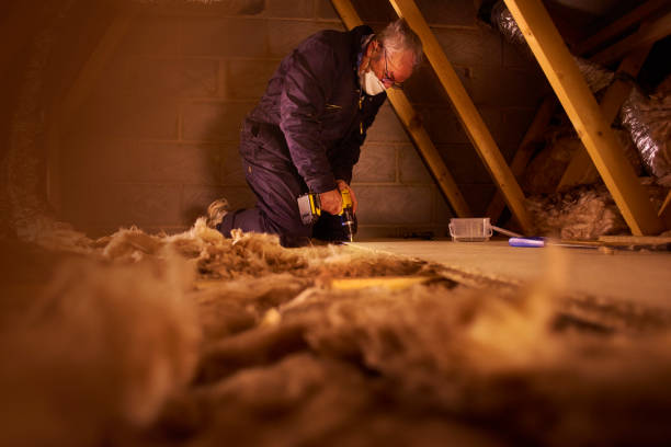 Best Cellulose Insulation in Holly, MI