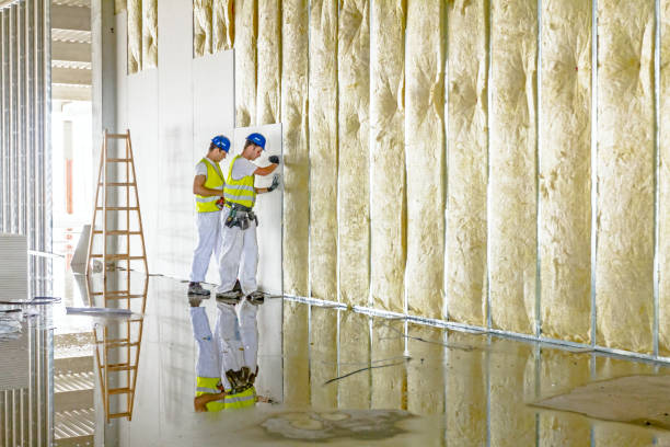 Best Commercial Insulation in Holly, MI